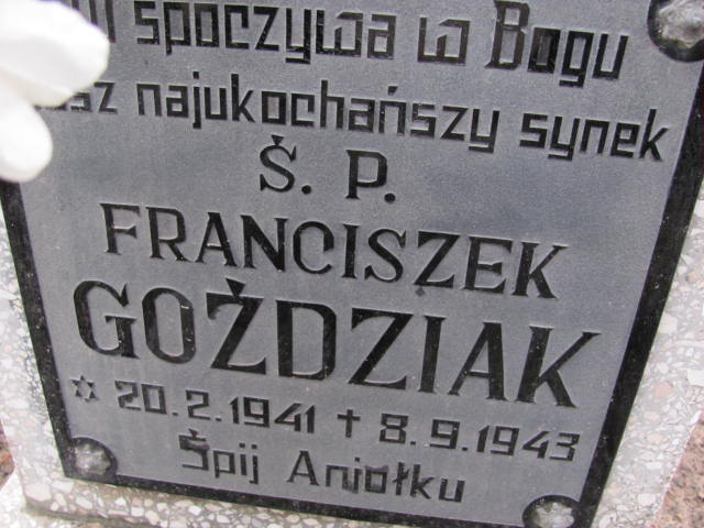 Grób Franciszek Goździak